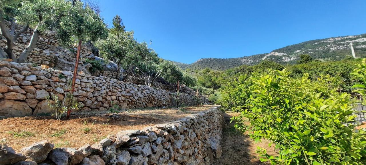 Apartments Suho Komiža المظهر الخارجي الصورة